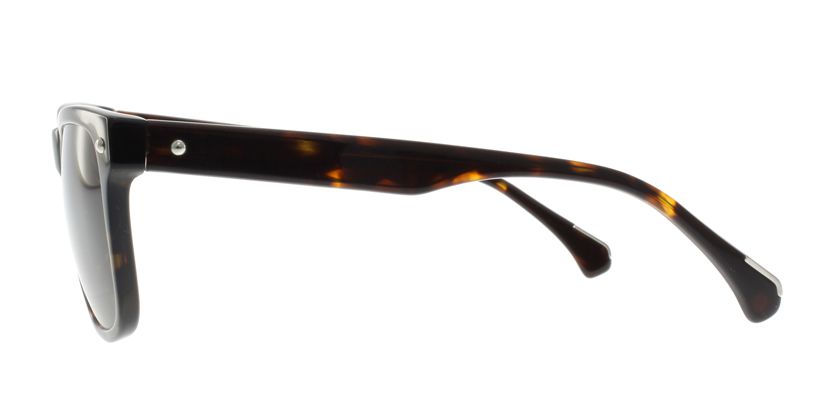 Anson Benson AB2032S022 Sunglasses - Side View